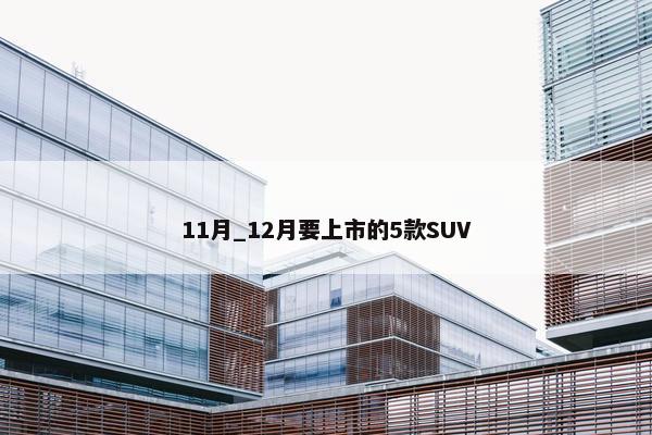 11月_12月要上市的5款SUV