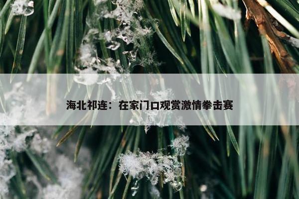 海北祁连：在家门口观赏激情拳击赛