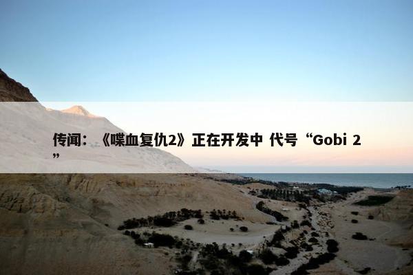 传闻：《喋血复仇2》正在开发中 代号“Gobi 2”