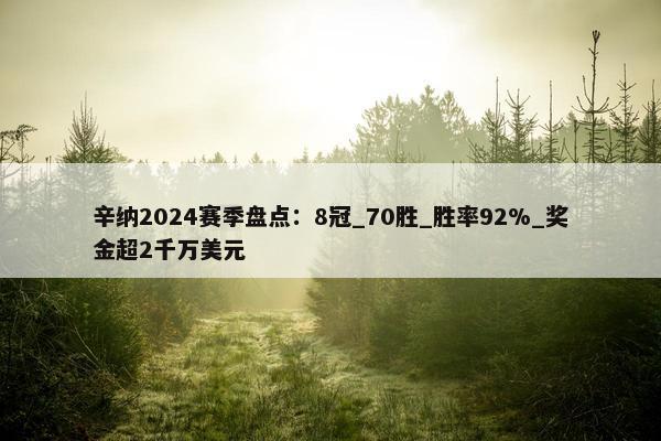 辛纳2024赛季盘点：8冠_70胜_胜率92%_奖金超2千万美元