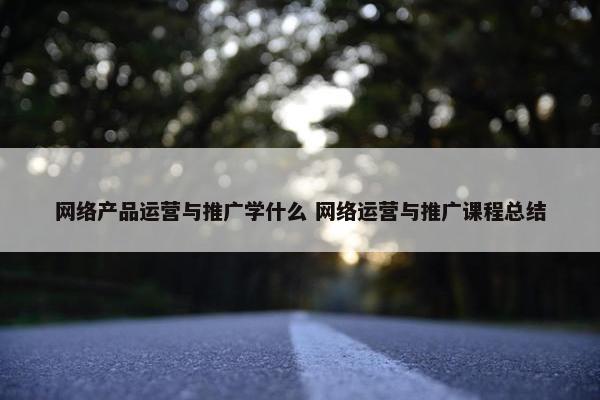 网络产品运营与推广学什么 网络运营与推广课程总结