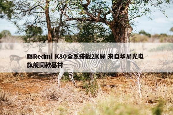 曝Redmi K80全系搭载2K屏 来自华星光电 旗舰同款基材