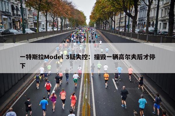 一特斯拉Model 3疑失控：撞毁一辆高尔夫后才停下