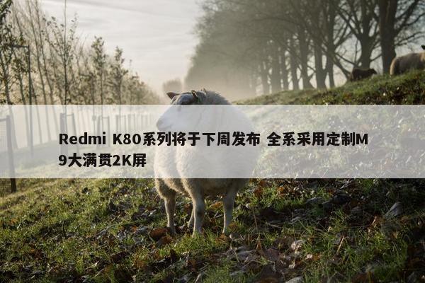 Redmi K80系列将于下周发布 全系采用定制M9大满贯2K屏