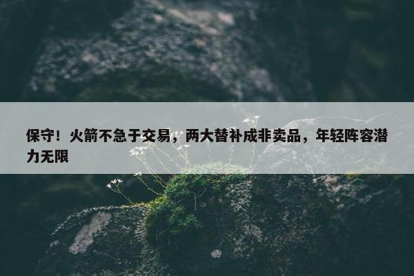 保守！火箭不急于交易，两大替补成非卖品，年轻阵容潜力无限