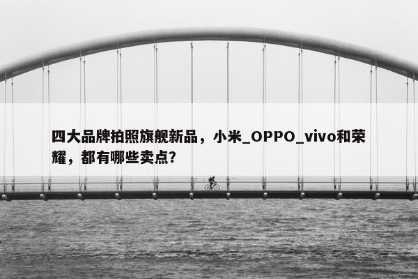 四大品牌拍照旗舰新品，小米_OPPO_vivo和荣耀，都有哪些卖点？