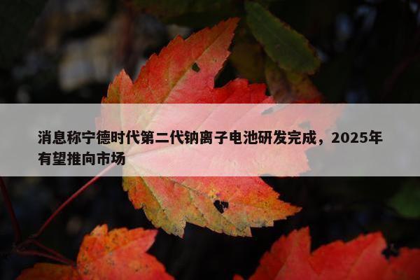 消息称宁德时代第二代钠离子电池研发完成，2025年有望推向市场