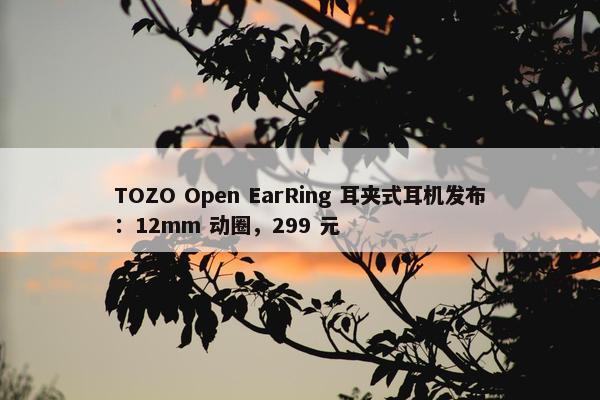 TOZO Open EarRing 耳夹式耳机发布：12mm 动圈，299 元