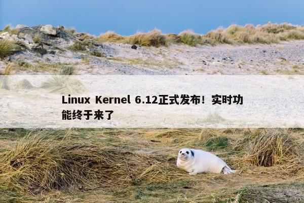 Linux Kernel 6.12正式发布！实时功能终于来了