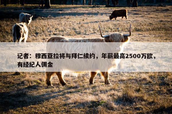 记者：穆西亚拉将与拜仁续约，年薪最高2500万欧，有经纪人佣金