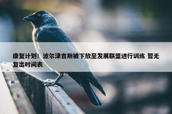 康复计划！波尔津吉斯被下放至发展联盟进行训练 暂无复出时间表