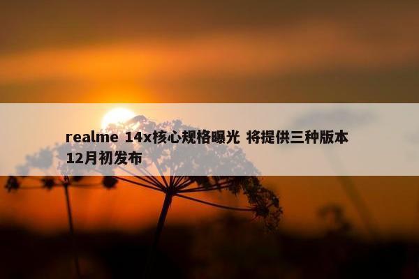 realme 14x核心规格曝光 将提供三种版本 12月初发布