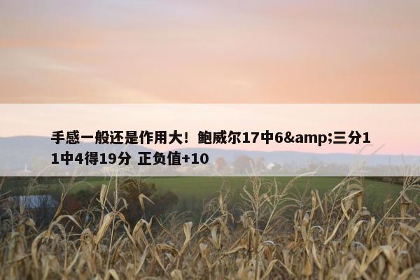 手感一般还是作用大！鲍威尔17中6&三分11中4得19分 正负值+10