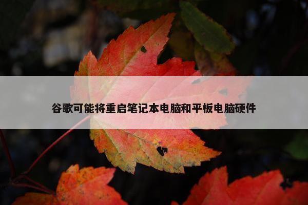 谷歌可能将重启笔记本电脑和平板电脑硬件