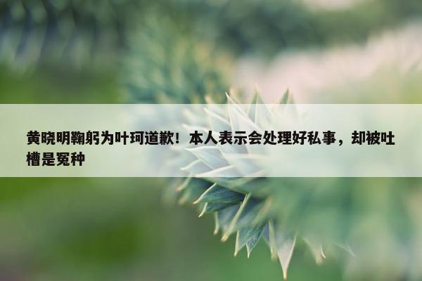 黄晓明鞠躬为叶珂道歉！本人表示会处理好私事，却被吐槽是冤种