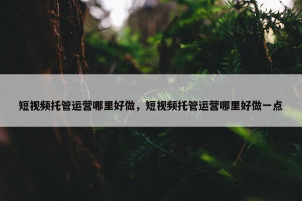 短视频托管运营哪里好做，短视频托管运营哪里好做一点