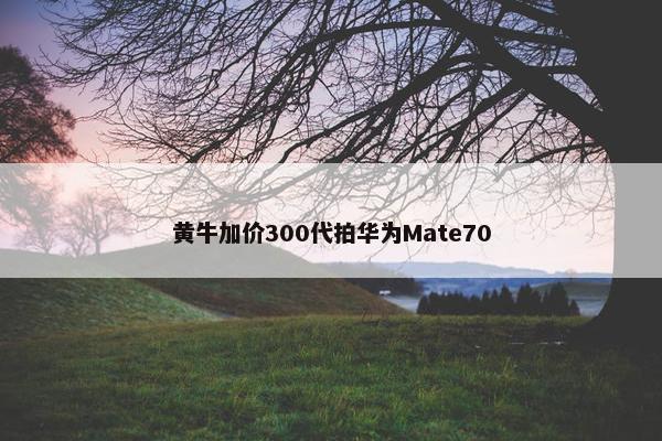 黄牛加价300代拍华为Mate70