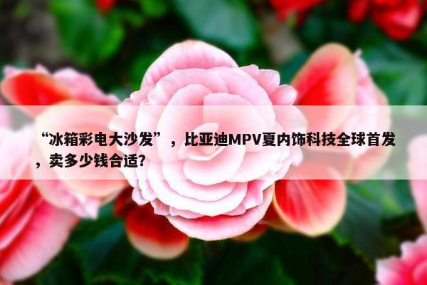 “冰箱彩电大沙发”，比亚迪MPV夏内饰科技全球首发，卖多少钱合适？