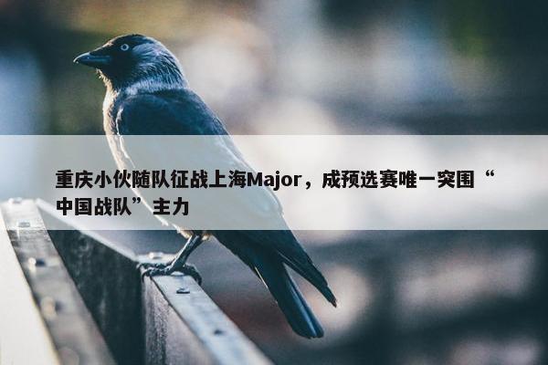 重庆小伙随队征战上海Major，成预选赛唯一突围“中国战队”主力