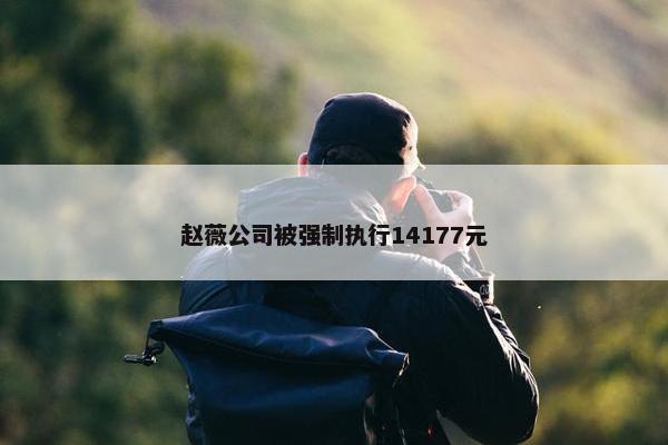 赵薇公司被强制执行14177元