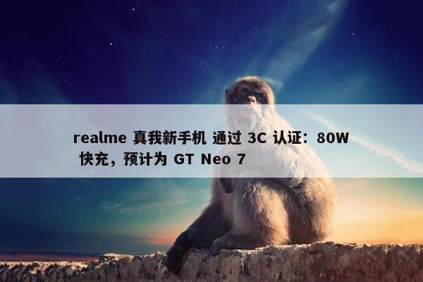 realme 真我新手机 通过 3C 认证：80W 快充，预计为 GT Neo 7