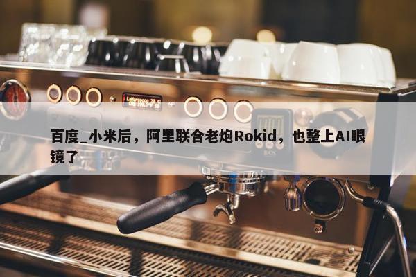 百度_小米后，阿里联合老炮Rokid，也整上AI眼镜了