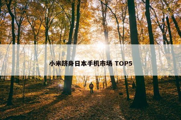 小米跻身日本手机市场 TOP5