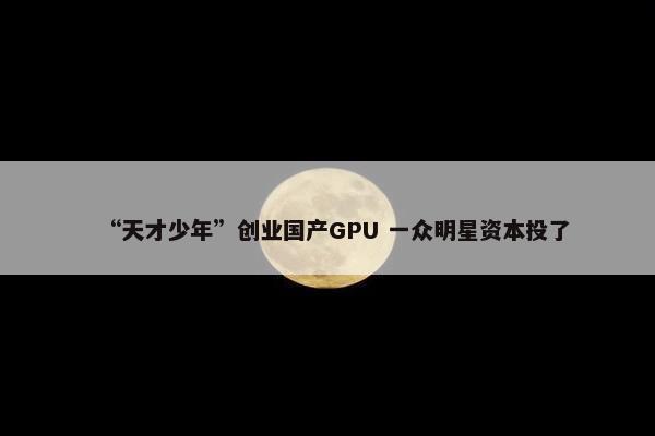 “天才少年”创业国产GPU 一众明星资本投了