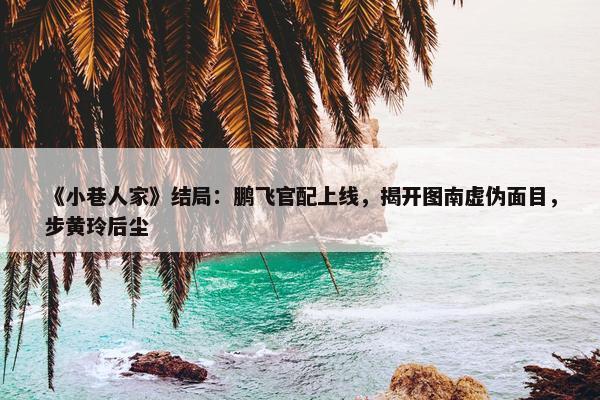 《小巷人家》结局：鹏飞官配上线，揭开图南虚伪面目，步黄玲后尘