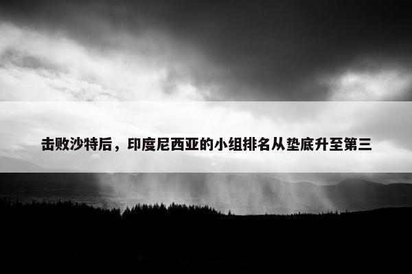 击败沙特后，印度尼西亚的小组排名从垫底升至第三