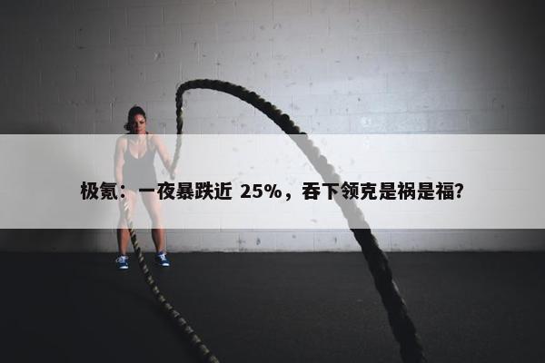 极氪：一夜暴跌近 25%，吞下领克是祸是福？