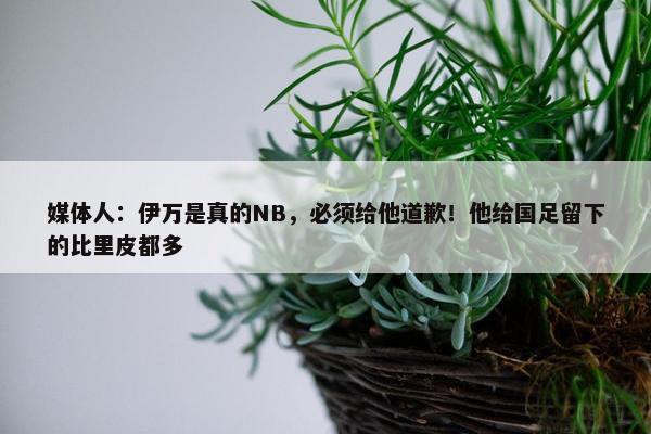 媒体人：伊万是真的NB，必须给他道歉！他给国足留下的比里皮都多