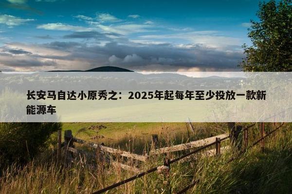 长安马自达小原秀之：2025年起每年至少投放一款新能源车