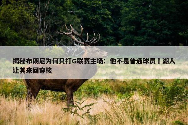 揭秘布朗尼为何只打G联赛主场：他不是普通球员 湖人让其来回穿梭