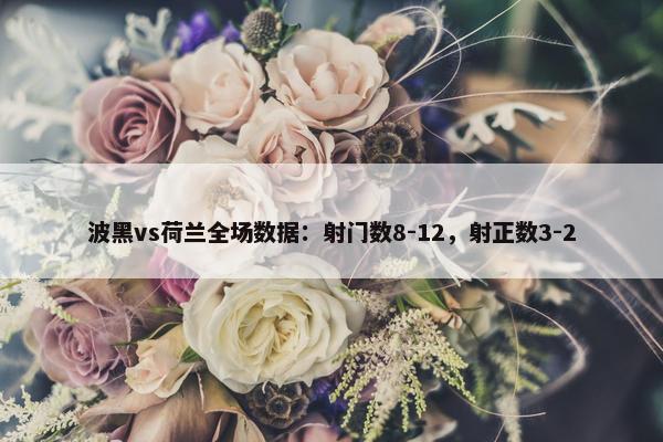 波黑vs荷兰全场数据：射门数8-12，射正数3-2