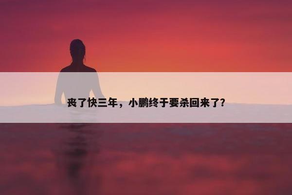 丧了快三年，小鹏终于要杀回来了？