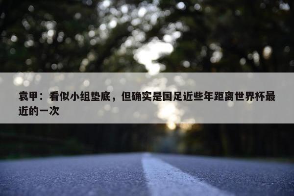 袁甲：看似小组垫底，但确实是国足近些年距离世界杯最近的一次