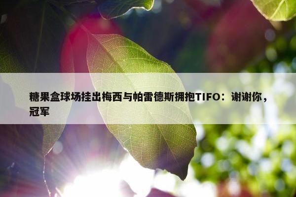 糖果盒球场挂出梅西与帕雷德斯拥抱TIFO：谢谢你，冠军