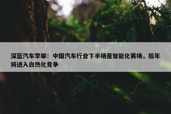 深蓝汽车李攀：中国汽车行业下半场是智能化赛场，后年将进入白热化竞争