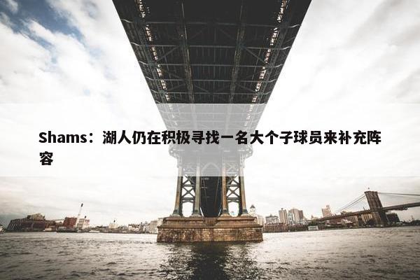 Shams：湖人仍在积极寻找一名大个子球员来补充阵容