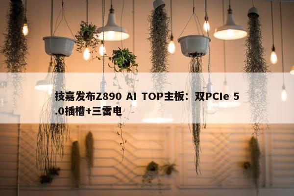 技嘉发布Z890 AI TOP主板：双PCIe 5.0插槽+三雷电