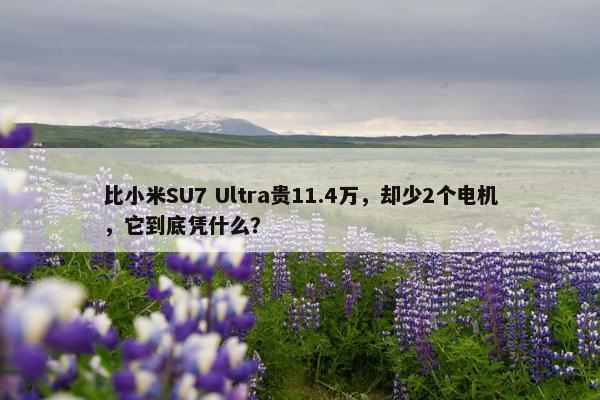 比小米SU7 Ultra贵11.4万，却少2个电机，它到底凭什么？