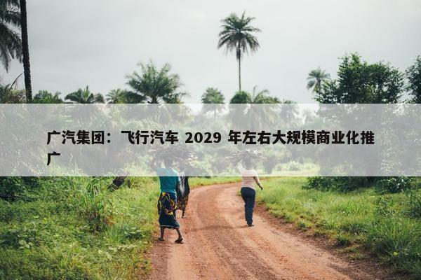 广汽集团：飞行汽车 2029 年左右大规模商业化推广