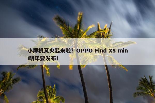 小屏机又火起来啦？OPPO Find X8 mini明年要发布！