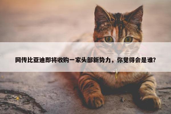 网传比亚迪即将收购一家头部新势力，你觉得会是谁？