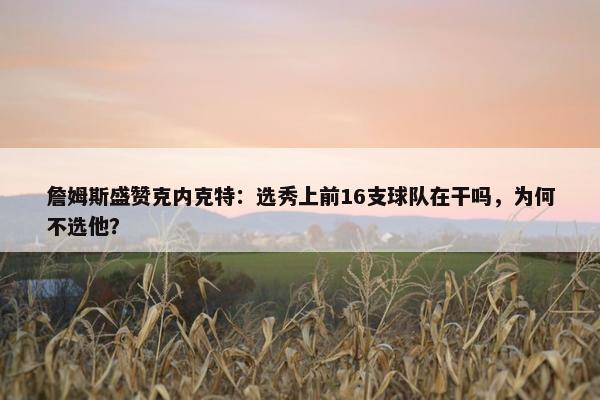 詹姆斯盛赞克内克特：选秀上前16支球队在干吗，为何不选他？