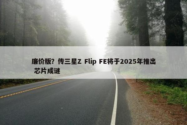 廉价版？传三星Z Flip FE将于2025年推出 芯片成谜