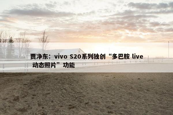 贾净东：vivo S20系列独创“多巴胺 live 动态照片”功能