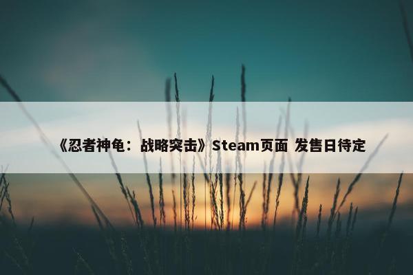 《忍者神龟：战略突击》Steam页面 发售日待定