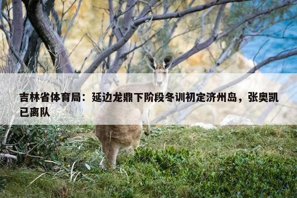 吉林省体育局：延边龙鼎下阶段冬训初定济州岛，张奥凯已离队